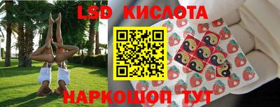 индика Аргун